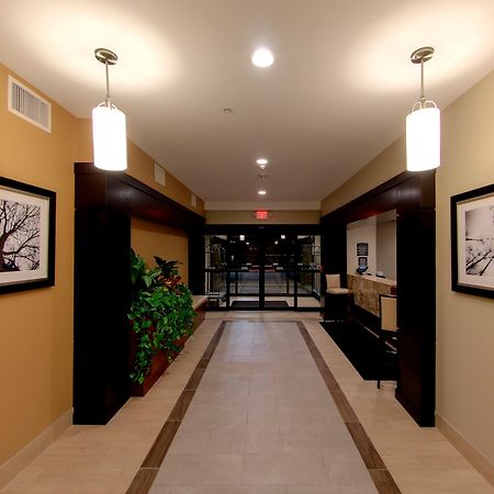 Staybridge Suites Ann Arbor - Research Parkway By Ihg Luaran gambar